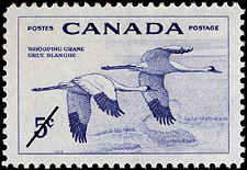 Timbre de 1955 - Grue blanche - Timbre du Canada