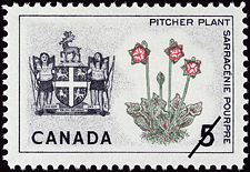 Timbre de 1966 - Sarracénie pourpre, Terre-Neuve - Timbre du Canada