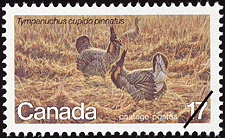 La poule des Prairies, Tympanuchus cupido pinnatus  1980 - Timbre du Canada