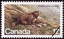 La marmotte de l'Île de Vancouver, Marmota vancouverensis 1981 - Timbre du Canada