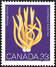 Clavulinopsis fusiformis, La clavaire fusiforme 1989 - Timbre du Canada