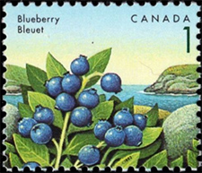 Timbre de 1992 - Bleuet - Timbre du Canada