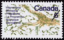 Timbre de 1970 - Le Programme Biologique International - Timbre du Canada