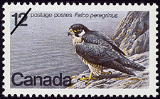 Timbre de 1978 - Faucon pèlerin, Falco peregrinus - Timbre du Canada