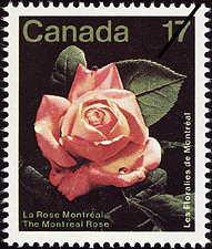 Timbre de 1981 - Les Floralies de Montréal, La Rose Montréal - Timbre du Canada