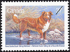 Timbre de 1988 - Retriever Duck Tolling de la Nouvelle-Écosse - Timbre du Canada
