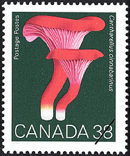 Timbre de 1989 - Cantharellus cinnabarinus, La chanterelle cinabre - Timbre du Canada