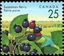 Timbre de 1992 - Petite poire - Timbre du Canada
