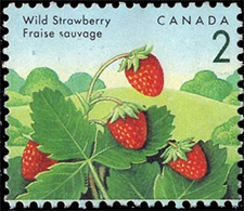 Timbre de 1992 - Fraises sauvages - Timbre du Canada
